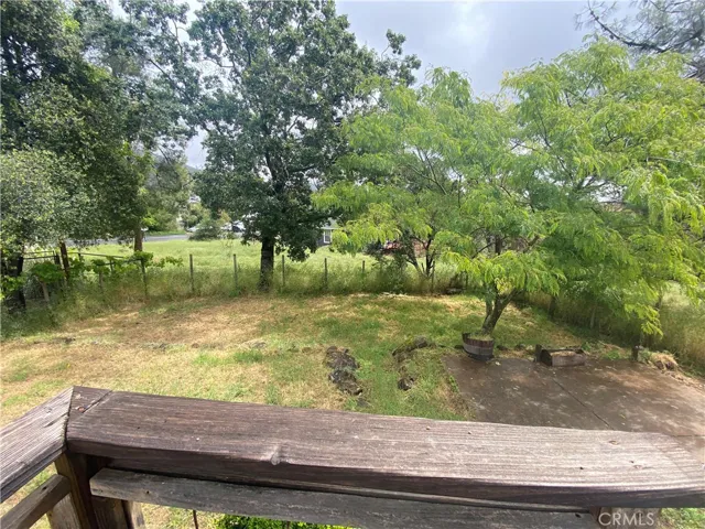 Back yard.
