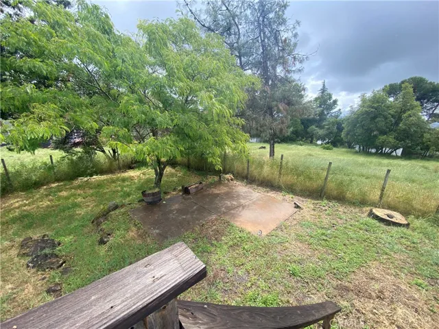 Back yard.