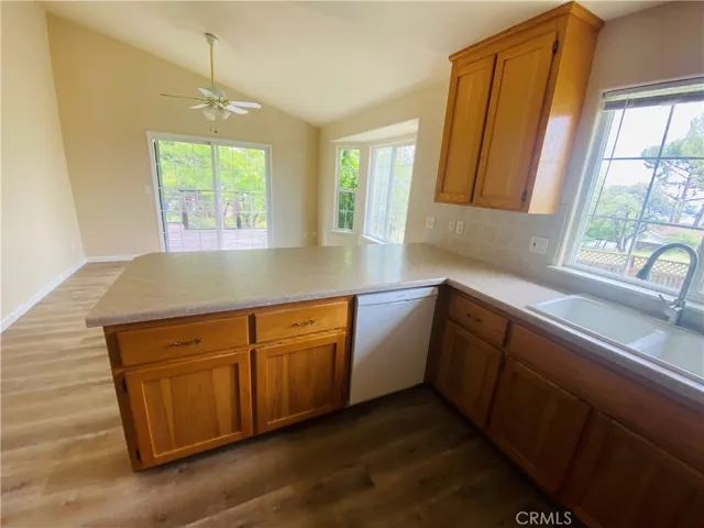 Kitchen looking toward back yard.
