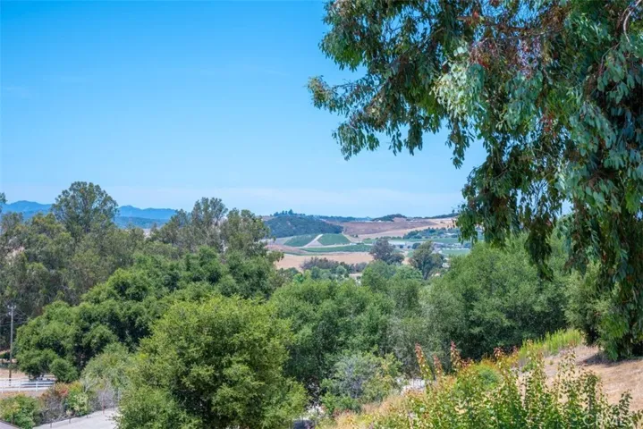 Vineyard views