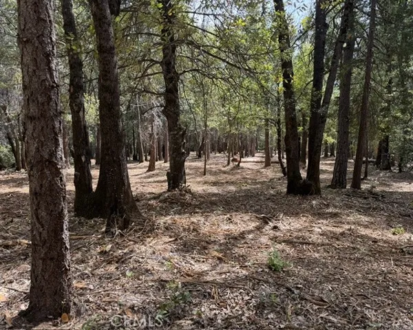 View from the middle to the back of the property
