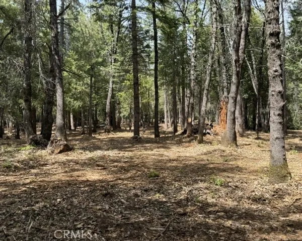 View from the back of the property towards the front of the property