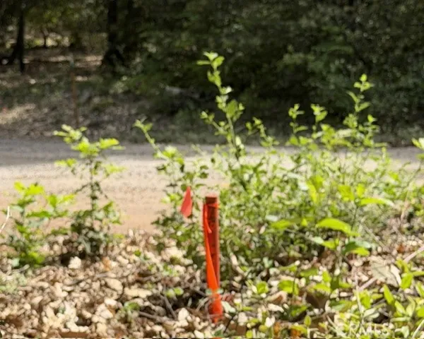 Northeast property corner pin.