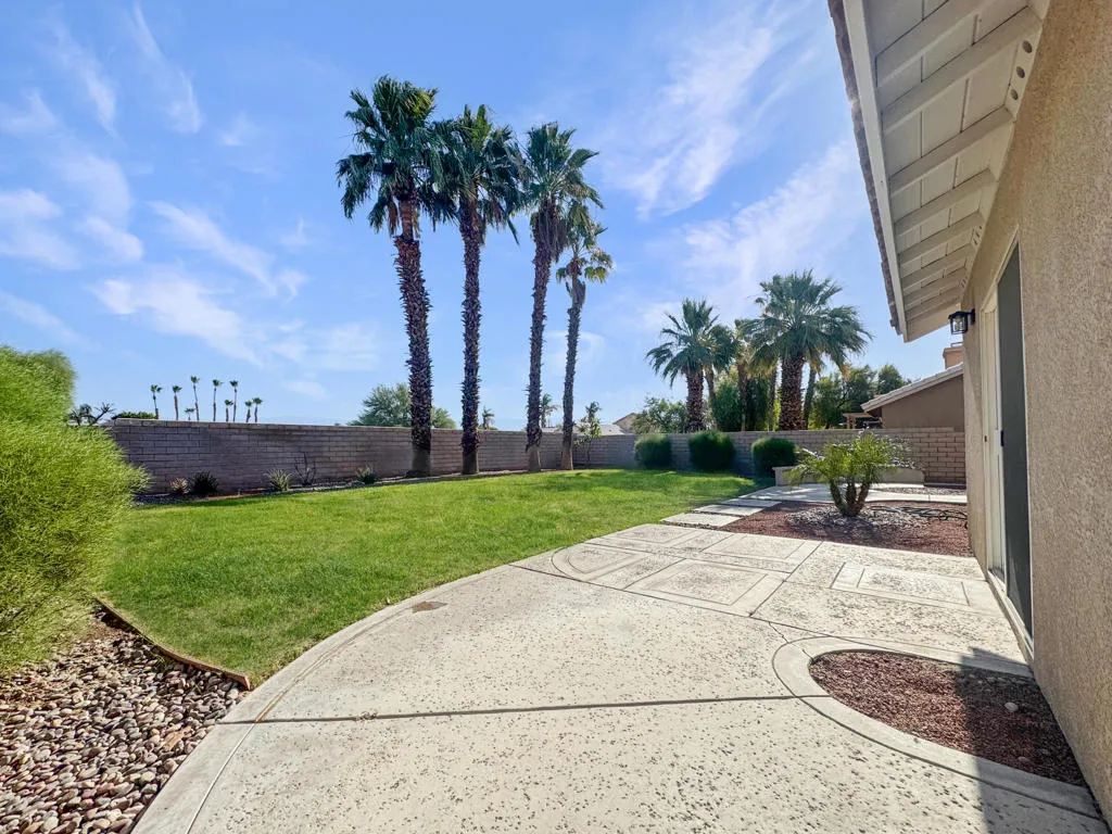 Backyard