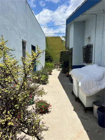Rear yard between the two garages.