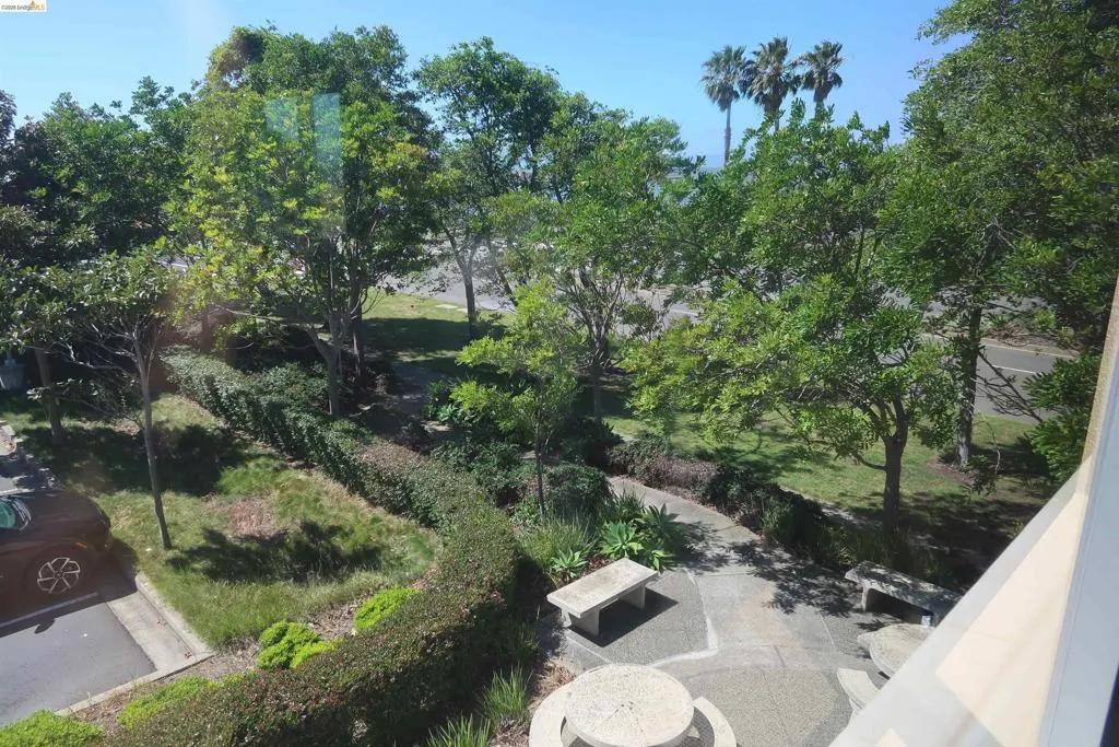 View from 2nd floor office