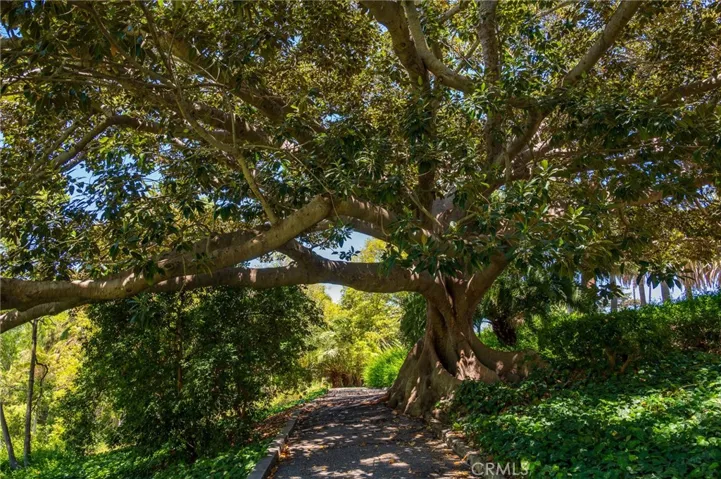 averill park
