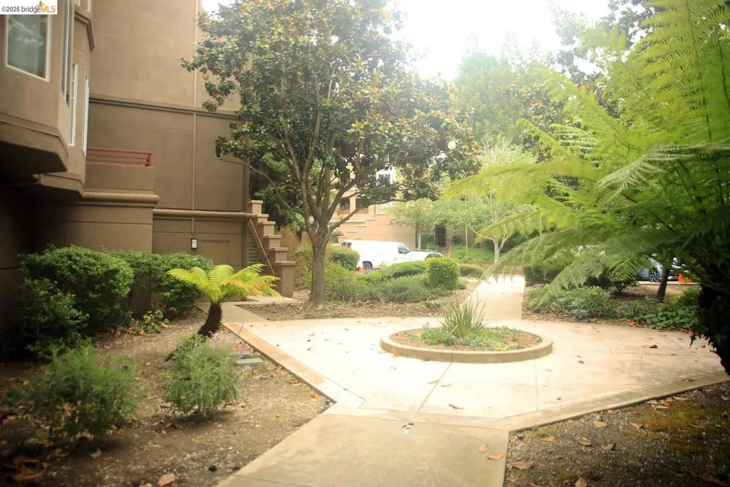 Landscaped courtyard featuring concrete pathways, mature trees, assorted shrubs, and a central circular planting area