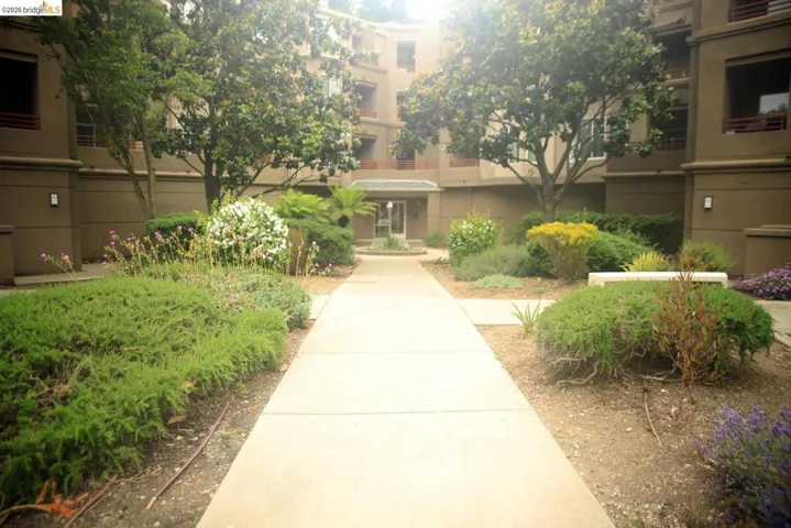 Central paved walkway leading to the building entrance, flanked by lush landscaping