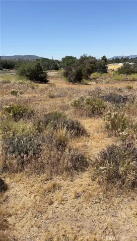 44 feet from the fence is dedicated for a road to avoid landlocking.