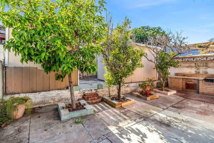 Back yard