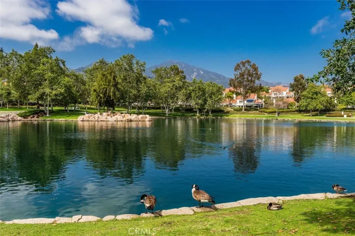 RSM Lake