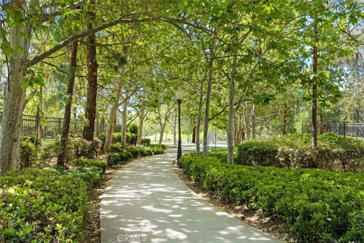 Trail around the Lake