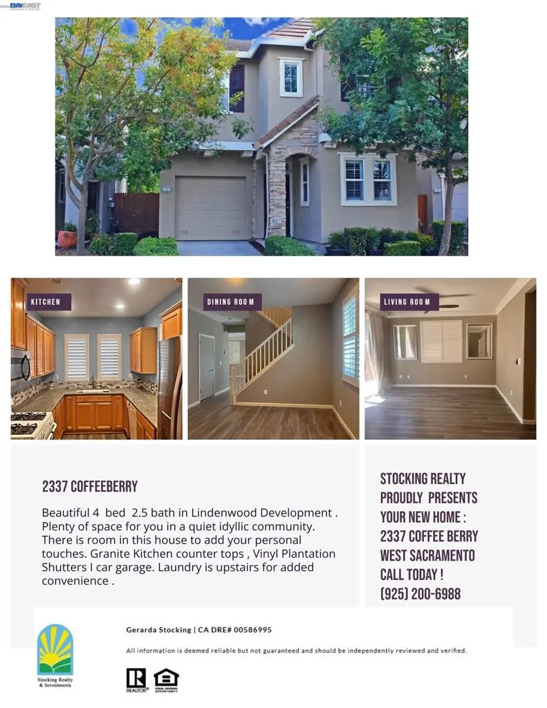 Mini Flyer