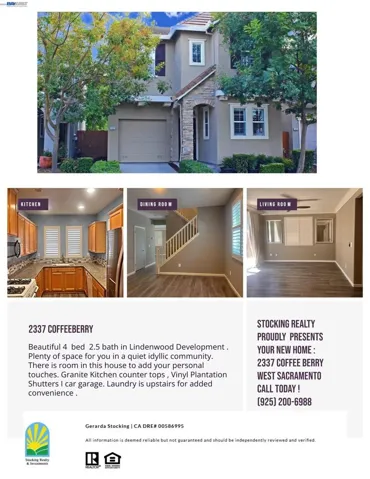 Mini Flyer