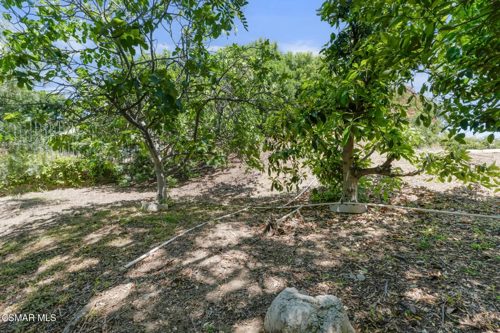 30049 Trail Creek Dr  -  HsHProd-9-Sky