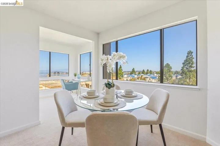Light-filled interior featuring expansive windows, neutral wall tones, and plush carpeting