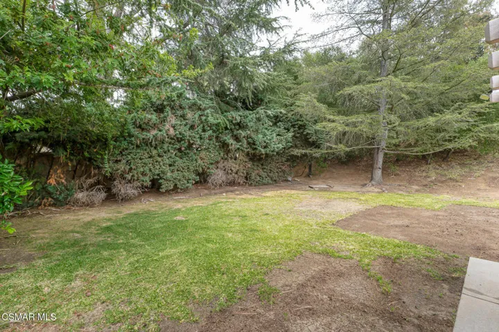 24- Back Yard