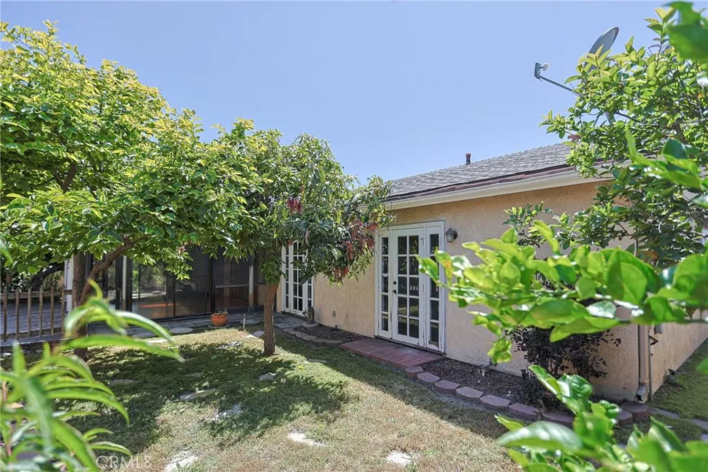 Backyard with many Asian Fruit Trees