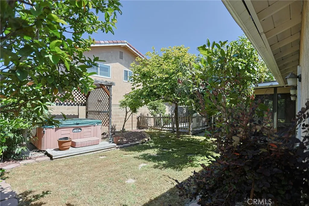 Backyard with many Asian Fruit Trees