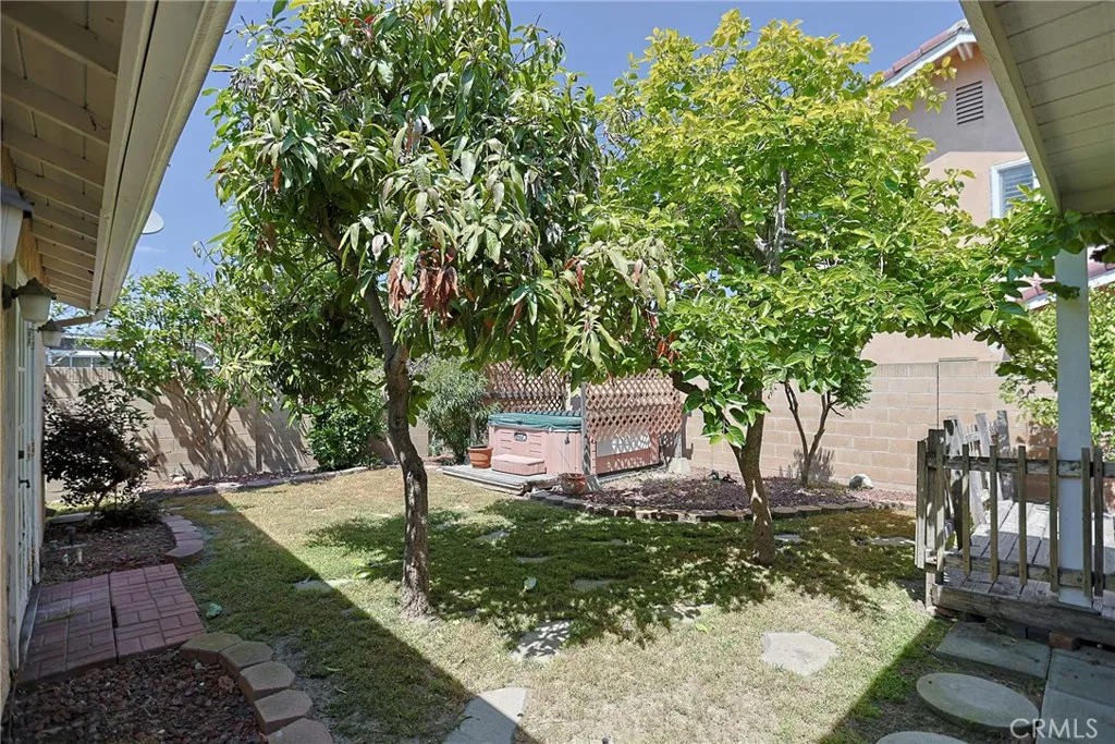 Backyard with many Asian Fruit Trees