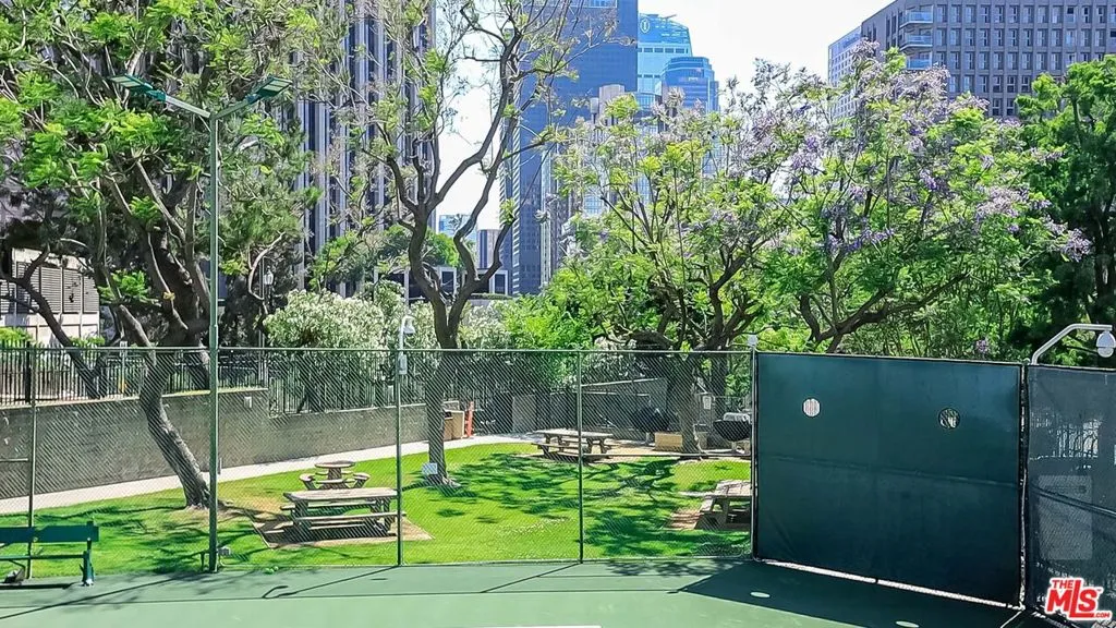 Dog Park