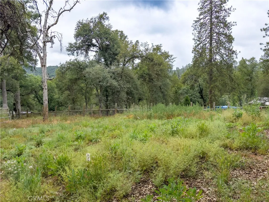 Horse Pasture