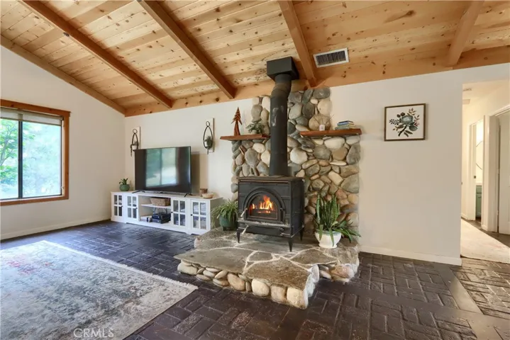 Free Standing Woodstove