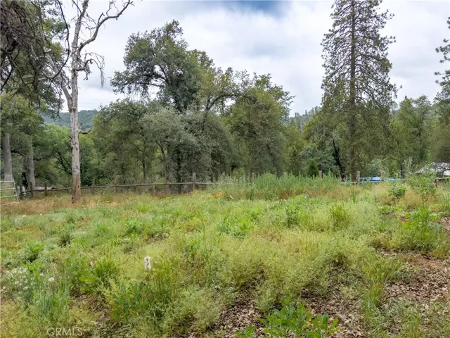Horse Pasture