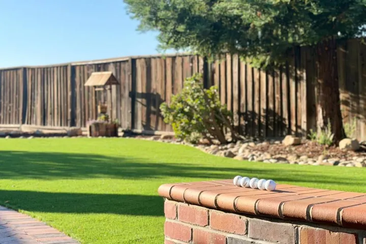 Backyard putting green area.