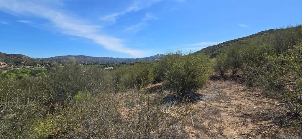 Looking east from the hill