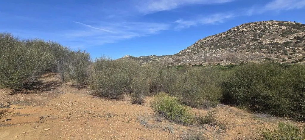 Looking westfrom the hill