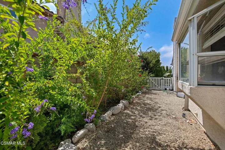 38-Back Yard