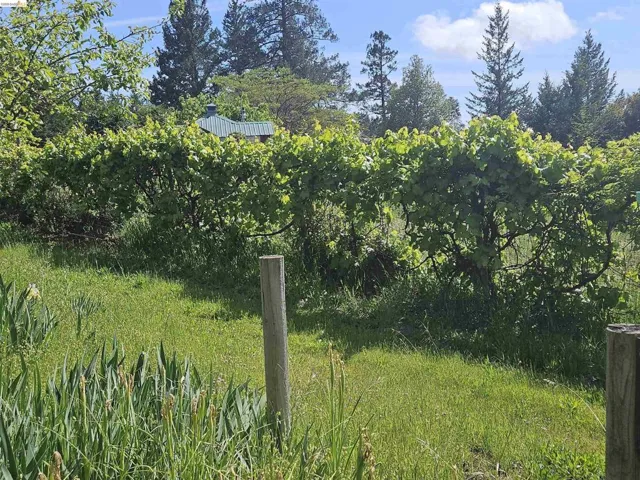49100 Wickersham Road, Geyserville, California 95441
