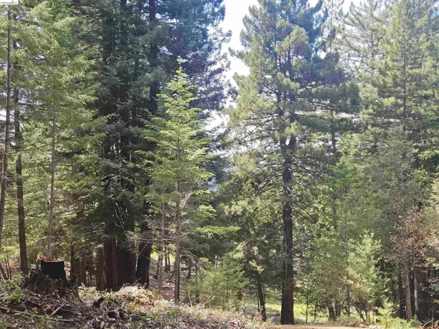 49100 Wickersham Road, Geyserville, California 95441