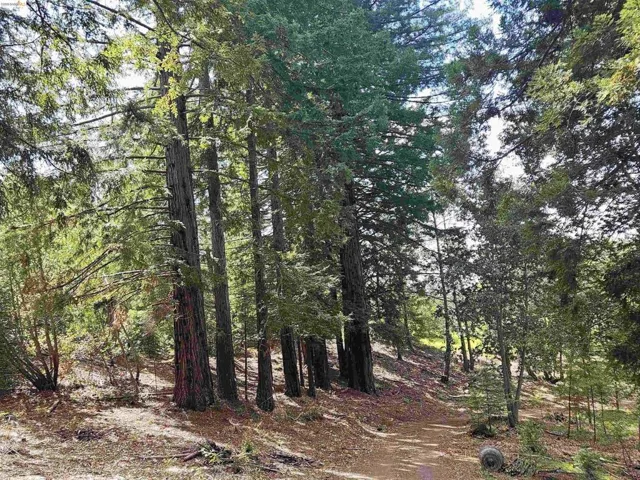 49100 Wickersham Road, Geyserville, California 95441
