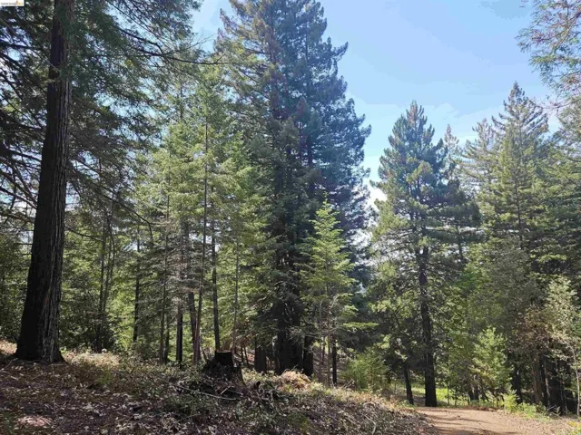 49100 Wickersham Road, Geyserville, California 95441