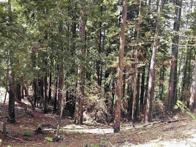 49100 Wickersham Road, Geyserville, California 95441