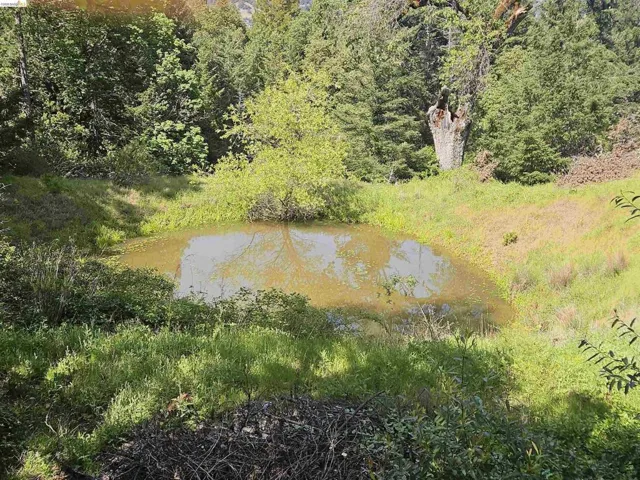 49100 Wickersham Road, Geyserville, California 95441