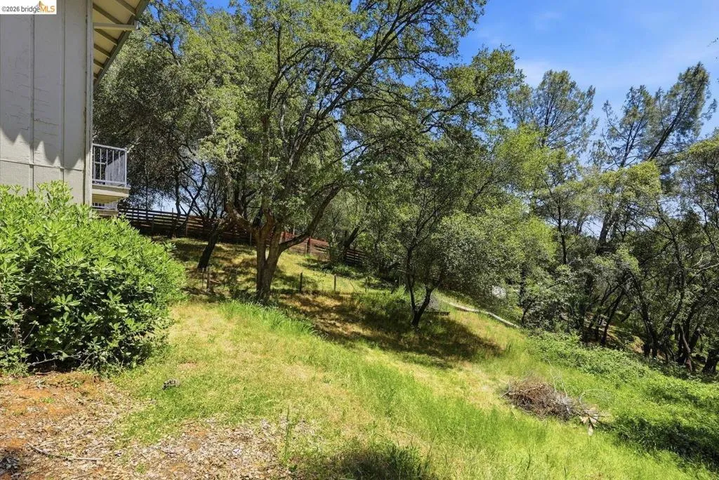 Sloping terrain featuring mature trees and established shrubs