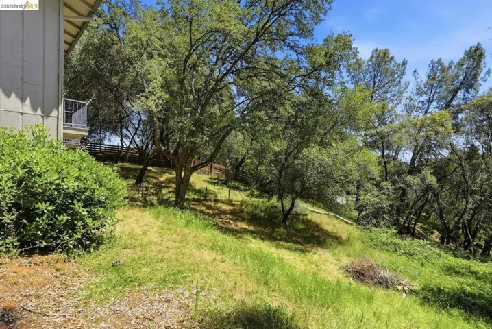 Sloping terrain featuring mature trees and established shrubs