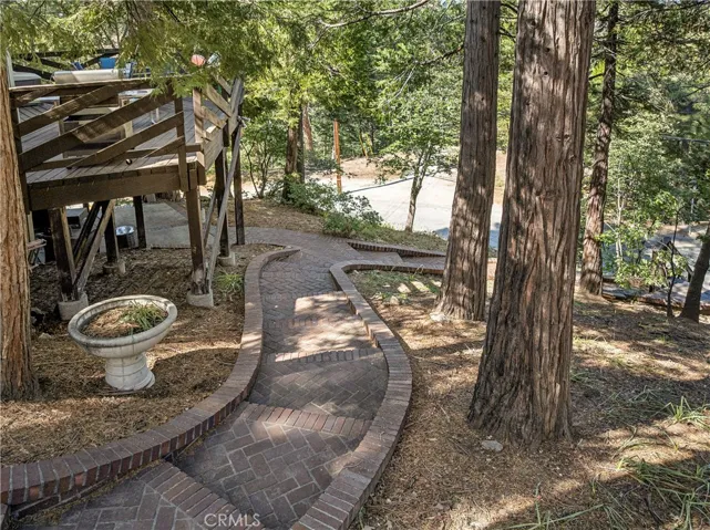 Rear Yard