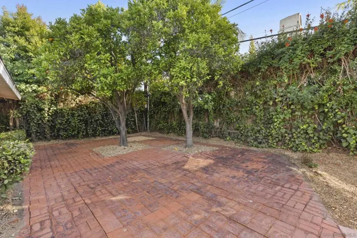 Current Backyard Space