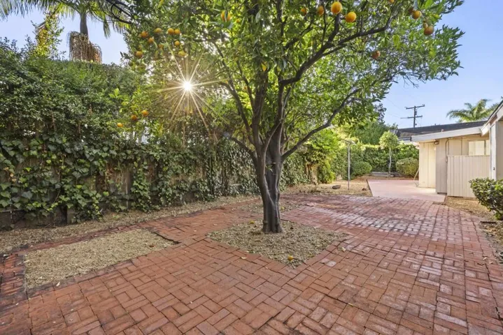 Current Backyard space