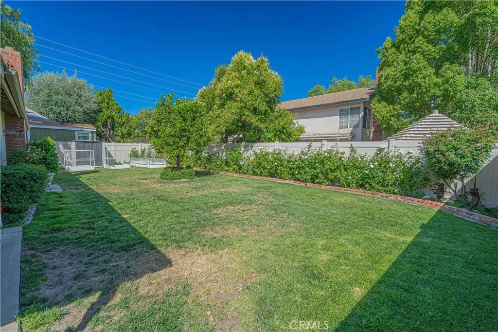 Rear Yard