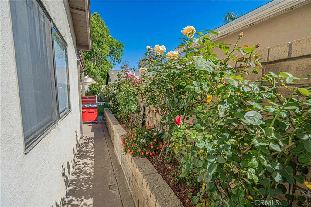 Side Yard
