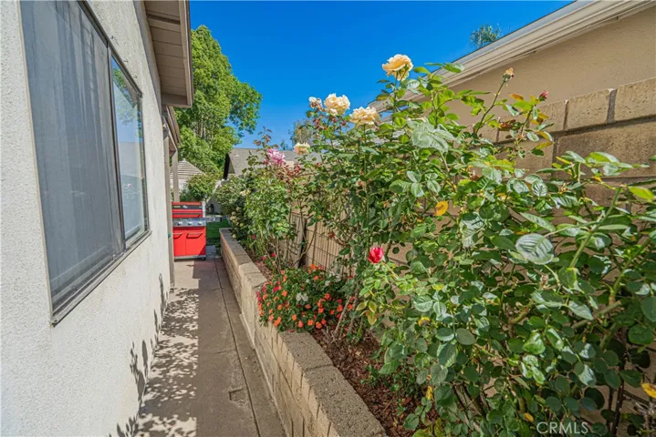 Side Yard