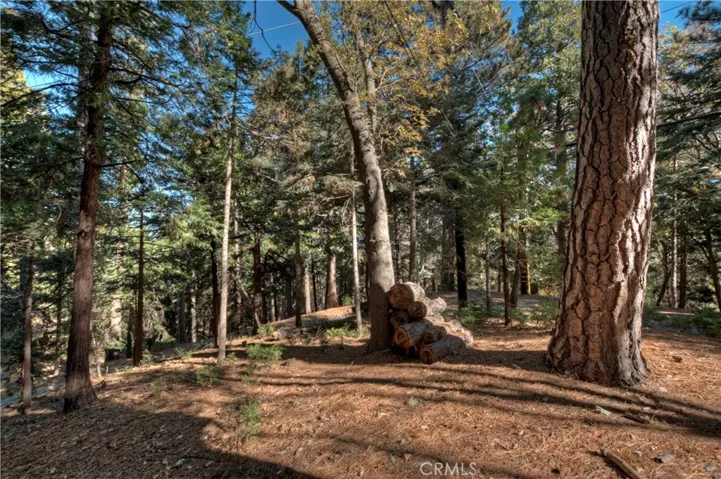 648 Crest Estates Drive, Lake Arrowhead, California 92352