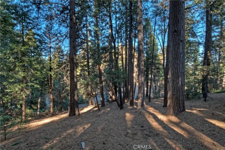 648 Crest Estates Drive, Lake Arrowhead, California 92352