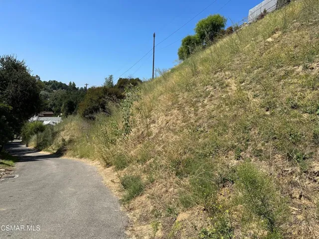 20905 Calimali 3